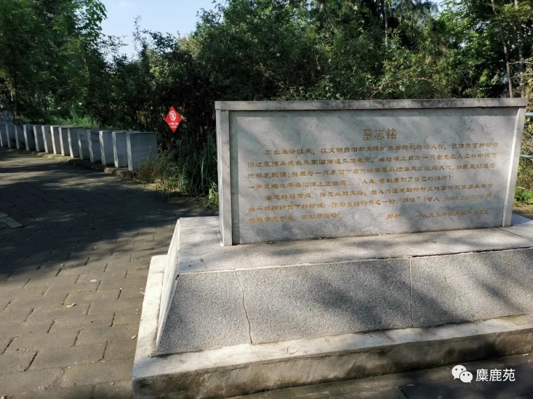 北京世界灭绝动物墓地,世界灭绝动物的墓地在哪里