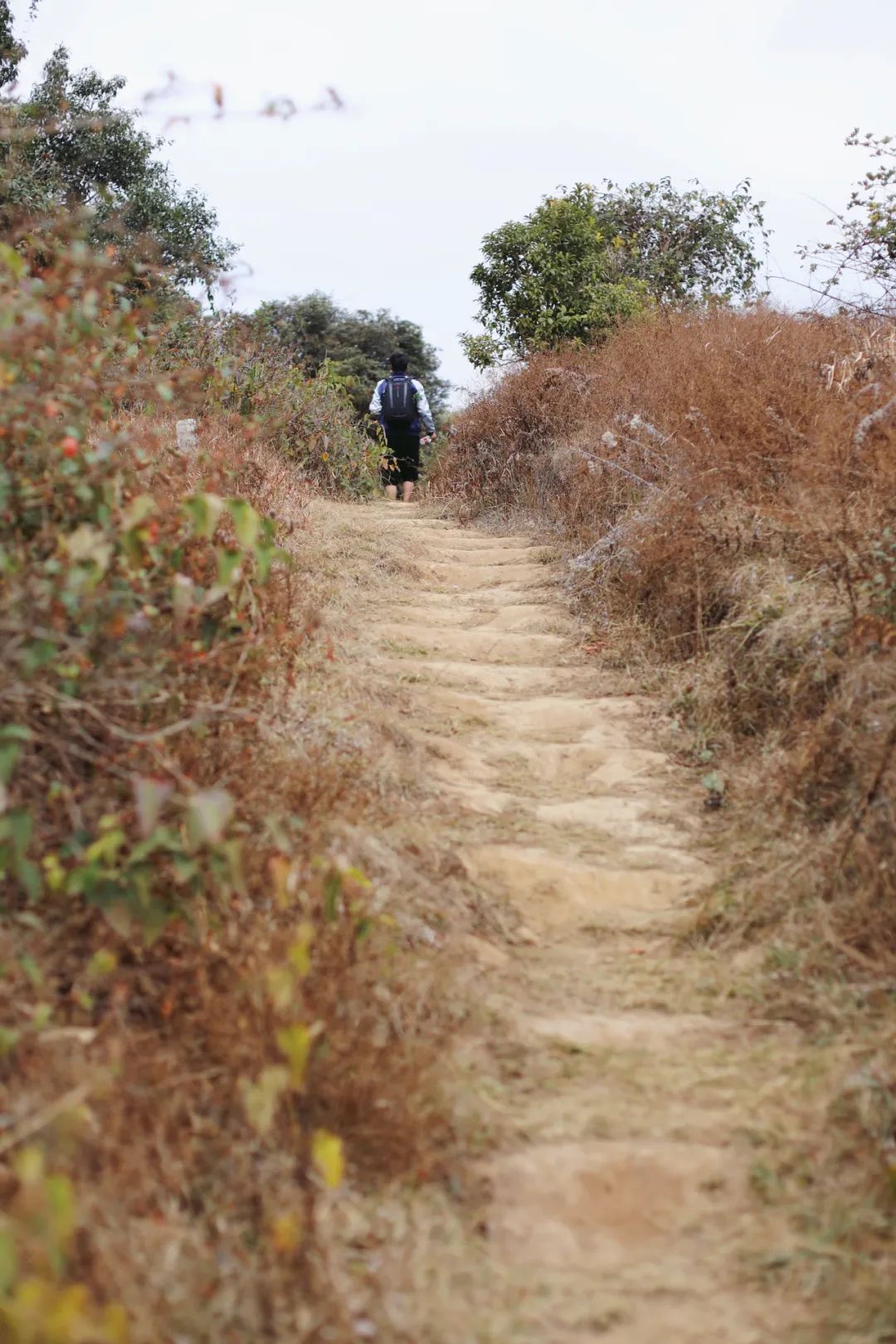 苏州去腾冲旅游攻略,苏州到腾冲旅行攻略