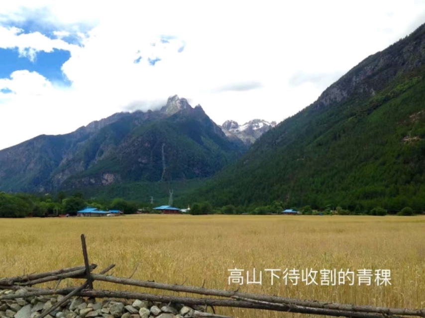 成都到林芝沿途山峰,从成都到林芝走318线路况如何