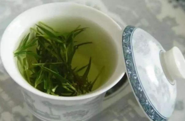 养花浇淘米水和啤酒好吗,啤酒养花好还是雪碧养花好