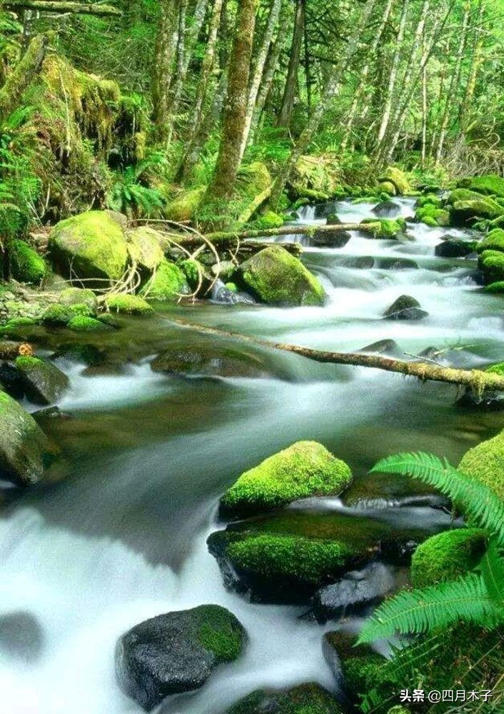 简短点赞率最高的句子,点赞最多感恩简短走心的句子