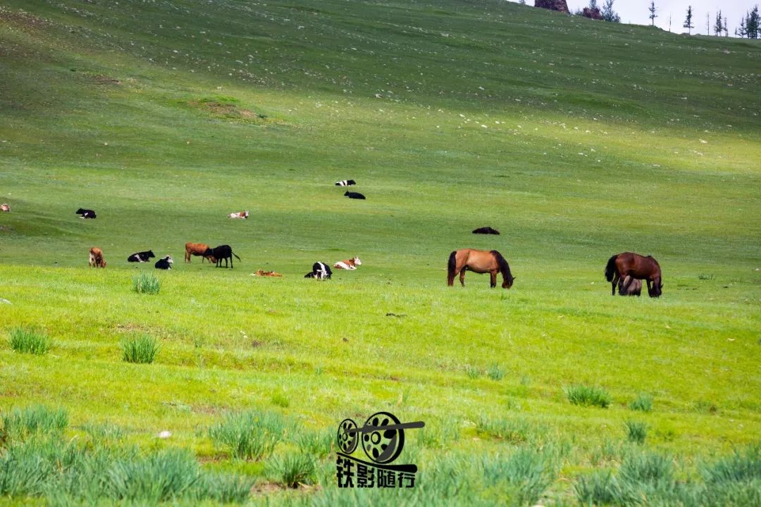 閾佸奖,閾佸奖闅忚婊囪秺閾佽矾