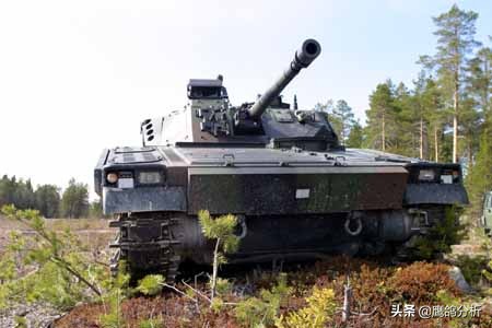 北欧海盗和欧力姆,北欧海盗瑞典进口