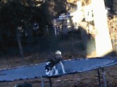 生物老师是女的,生物老师是个女的