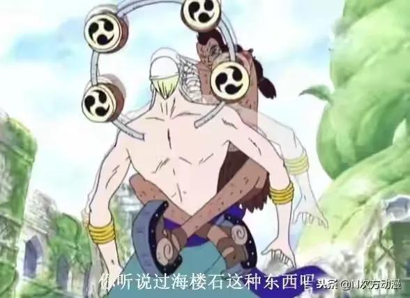 海贼王机械甲,海贼王里特殊的武器