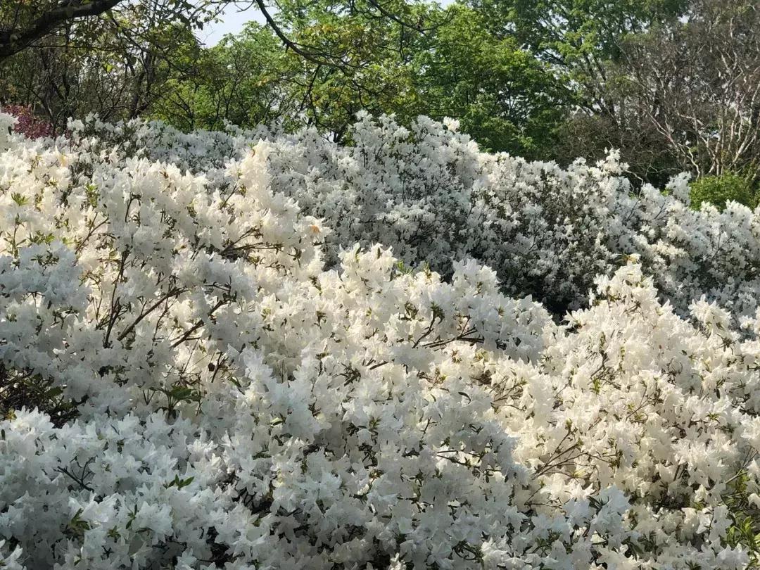 自己去韩国买便宜还是代购便宜,去韩国代购怎么走便宜