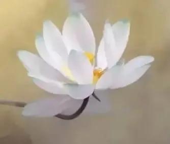 轻松解压消除,6步帮你摆脱抑郁情绪