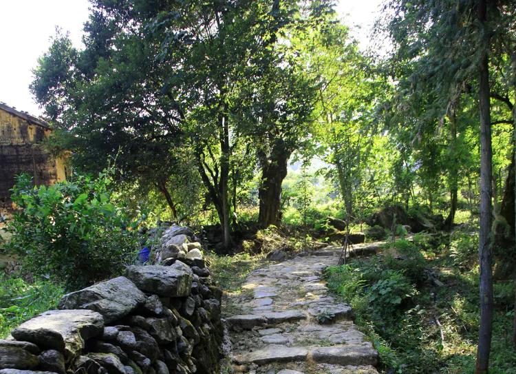 （31）美丽的龙山村