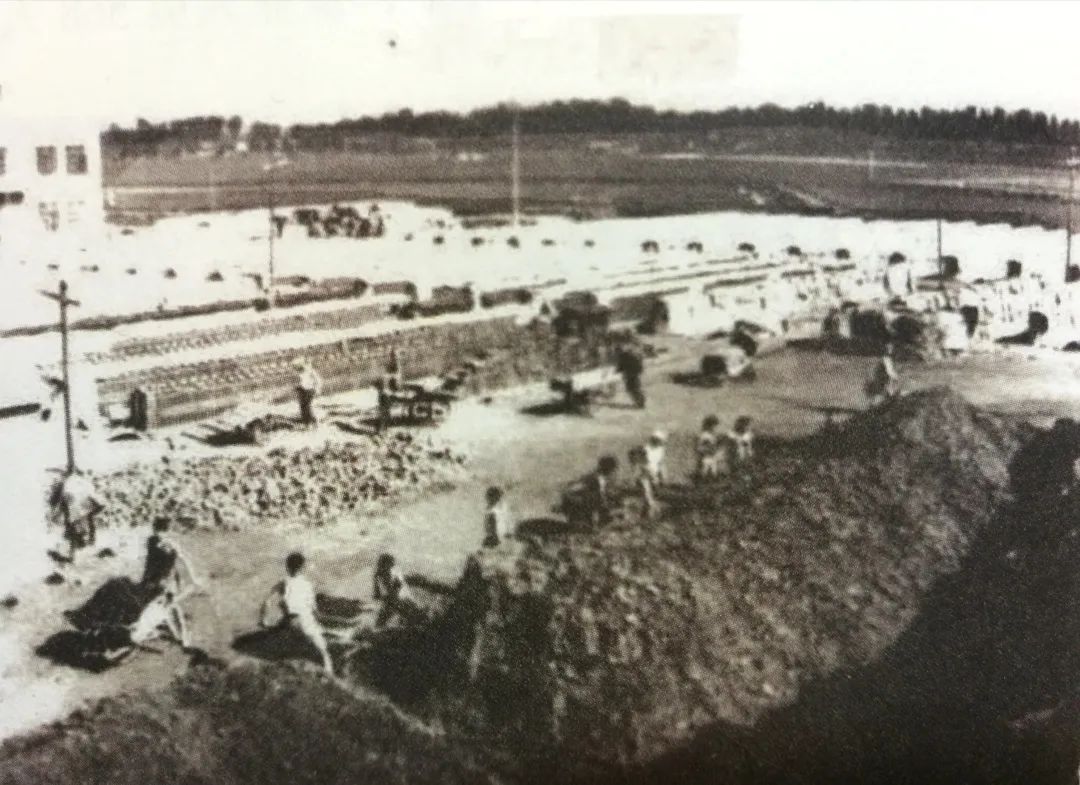 莱阳有哪些好的企业,莱阳有啥企业