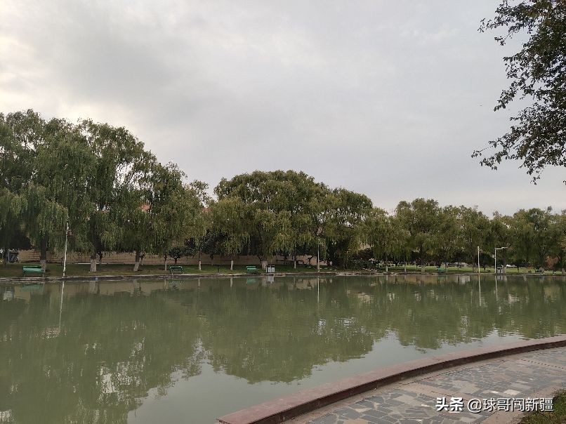 新疆棉花涨势,新疆棉花经济热点