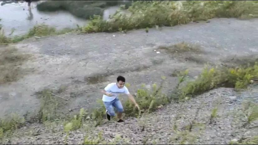 上海看美丽的大海,上海哪里有海滩看大海免费