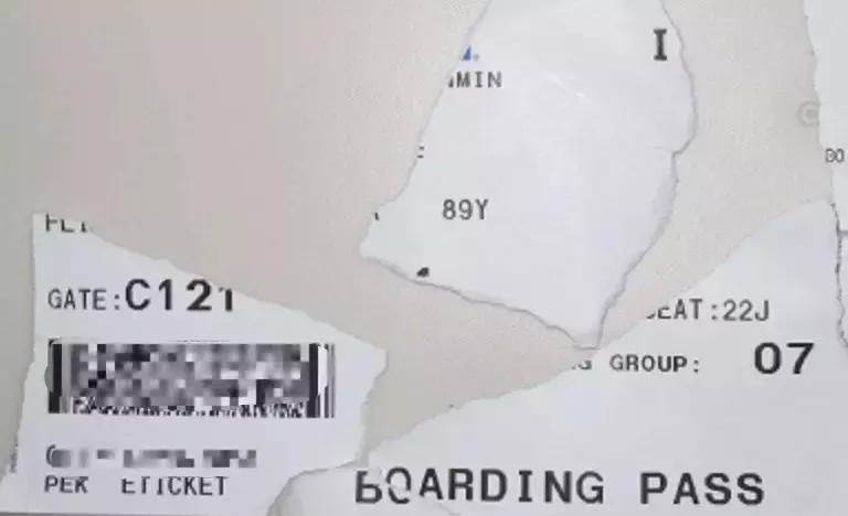 警告！下飞机没做这个动作，损失上十万，已有游客被坑