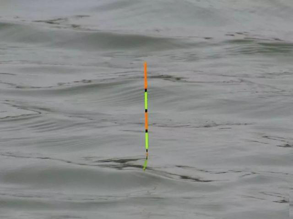 冬天鲫鱼吃口弱该如何提高中鱼率,口轻调灵还是钝