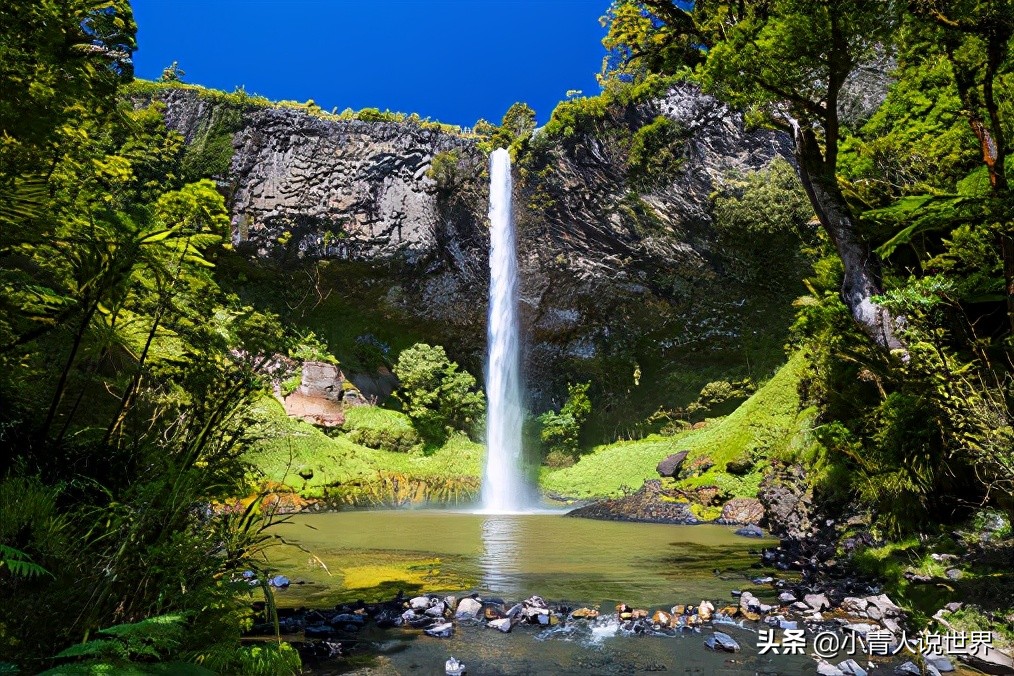 新西兰创业移民真实历程,新西兰的前景如何