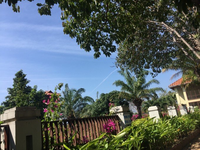 越南美女带妹子出游,越南美女旅游团