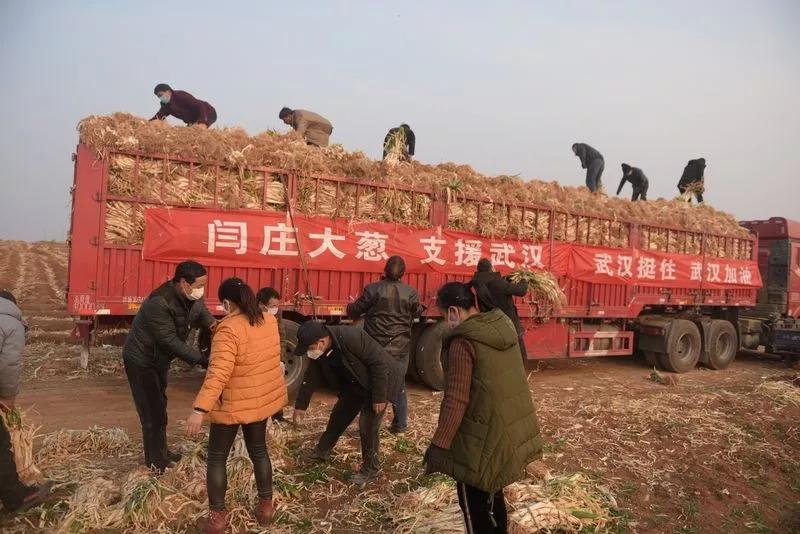 你有多美剧情介绍,你有多美原版视频