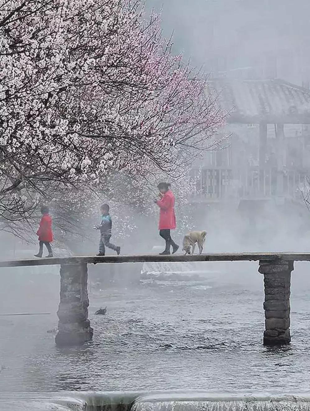 缙云十大旅游村落排名榜,缙云必游古村落