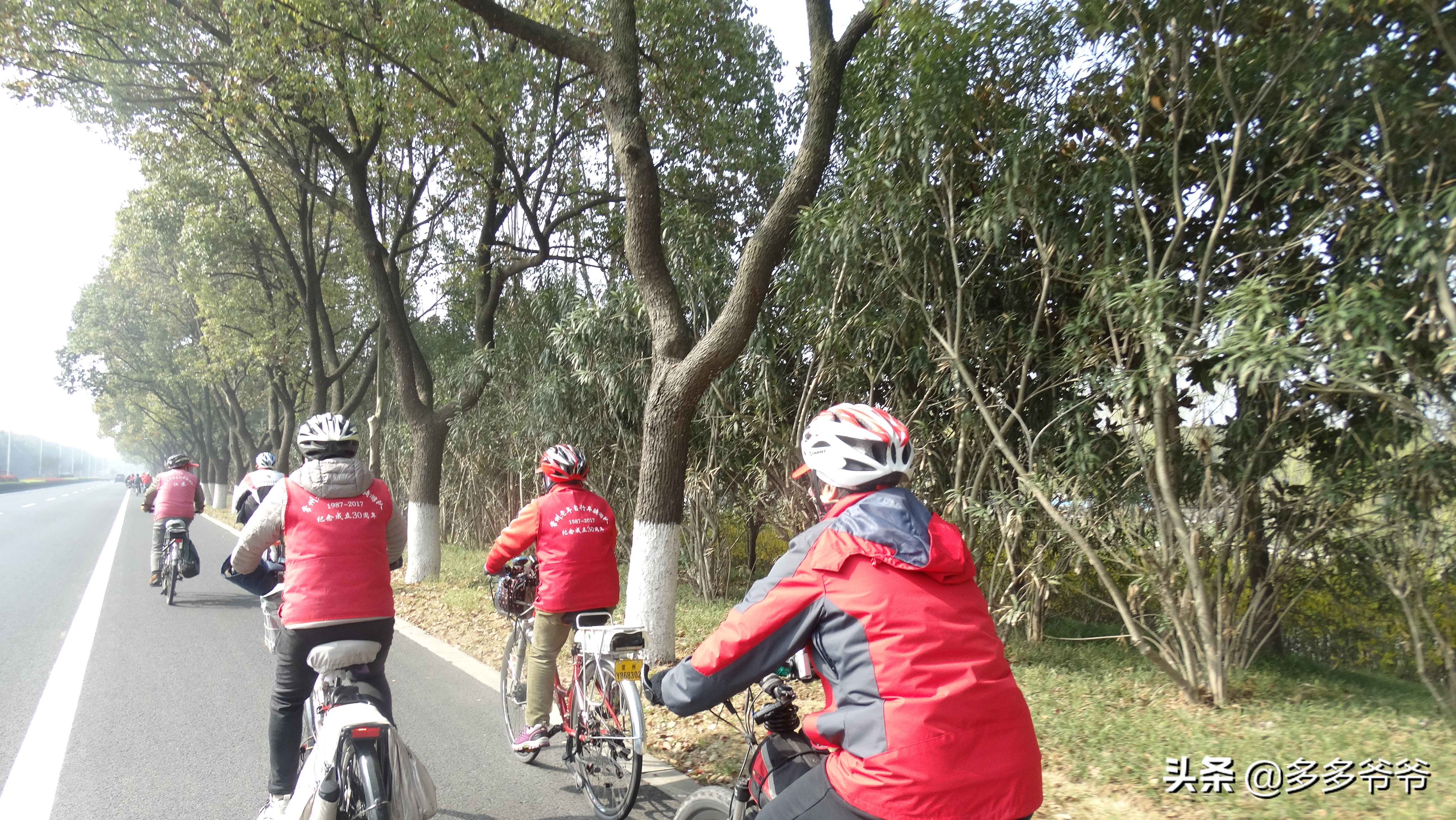 常州赏花自驾,常州附近有没有好玩的公园免费的