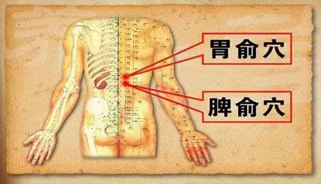 改善脾胃虚寒的菜,艾灸改善脾胃虚寒一般要多久