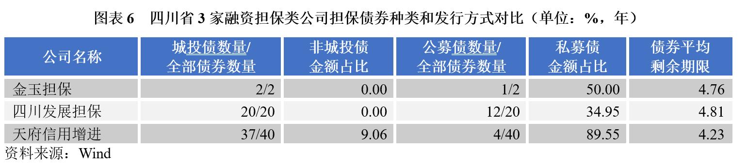 担保公司运营情况汇报材料,担保公司担保项目案例