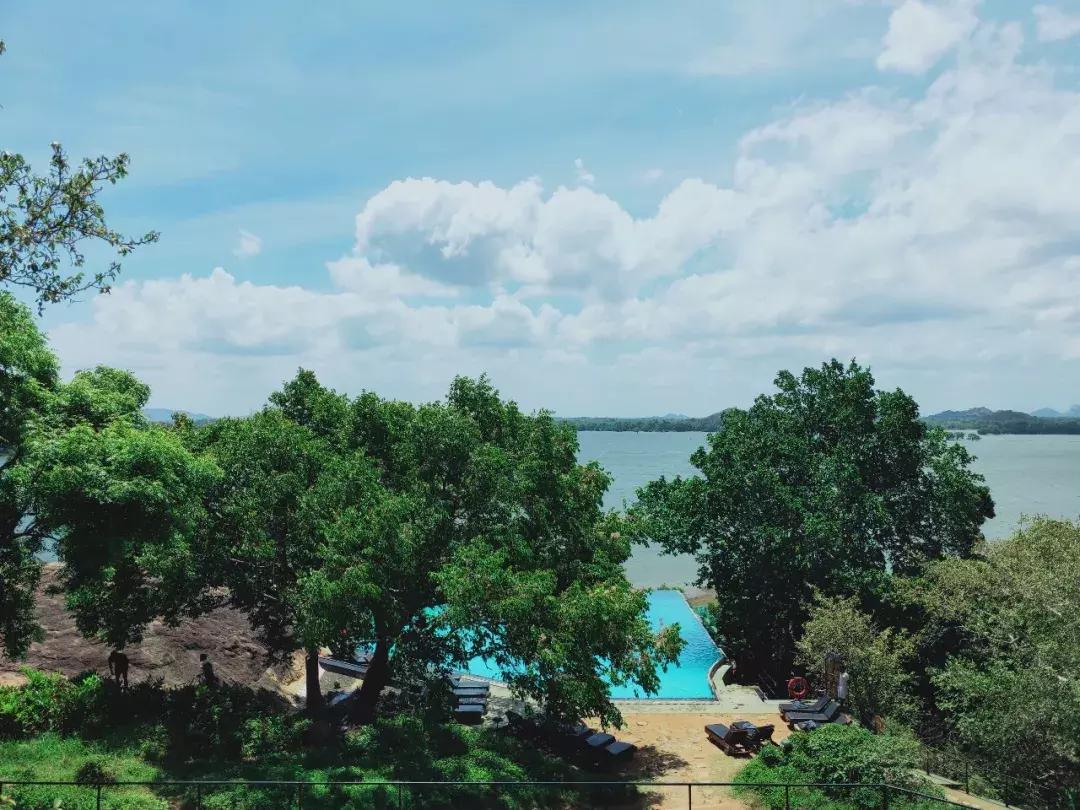 一生必去一次的神奇国度，榴莲白菜价，还有千与千寻里的海上火车