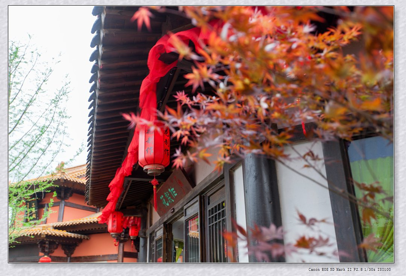 常州旅游东方盐湖城,骆驼之旅视频