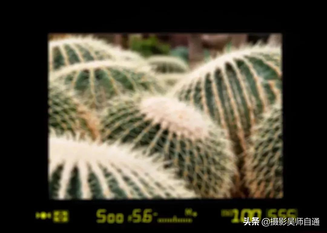 相机有哪些实用功能,相机的三大基本功能