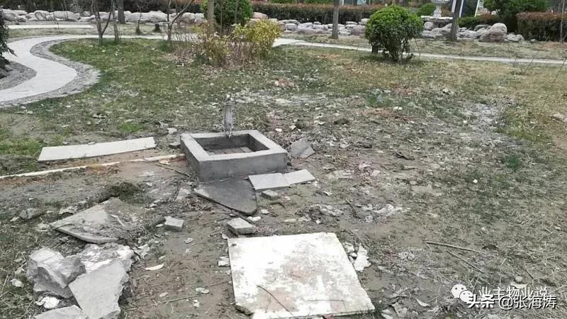 赞！旧貌换新颜，只因小区有了业主大会