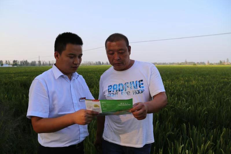 扎扎实实服务乡村振兴战略徐州人保财险创新农险高质量发展纪实