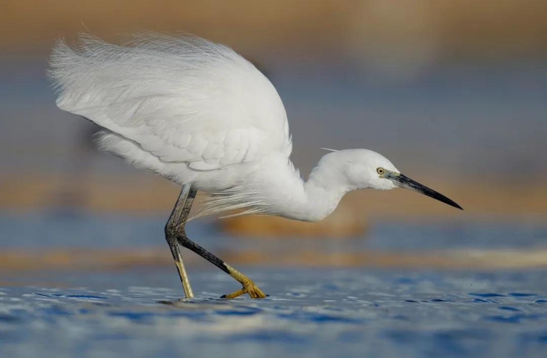 世界那么大我想去看看读书笔记,世界那么大我想去看看古诗