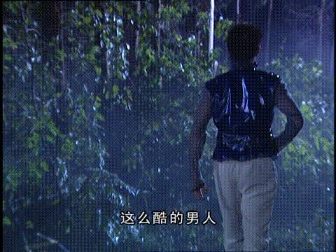 卫斯理红崖天书白素扮演者,18年前老片