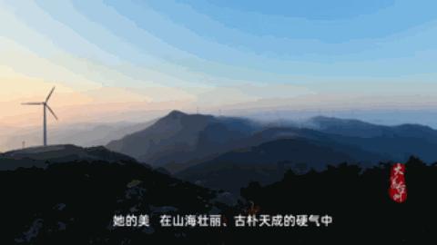 宁波最隐藏的海岛,被浙江人私藏的江南小城