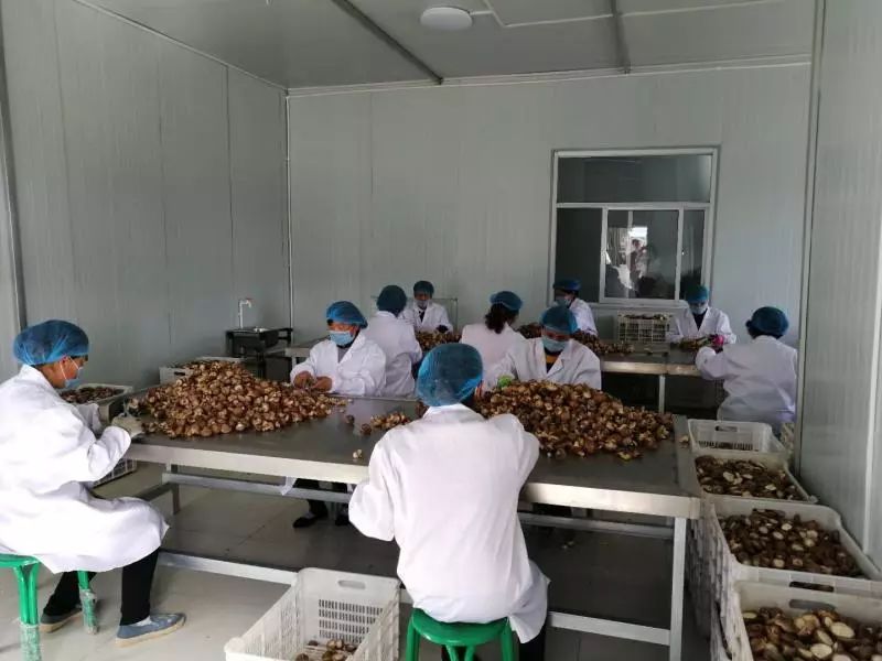 “团团大集”已近尾声，还没购置年货的小伙伴继续购购购