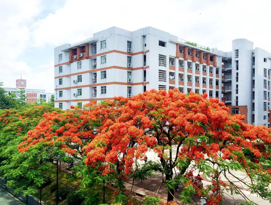 广东大学巡礼-广州康大职业技术学院