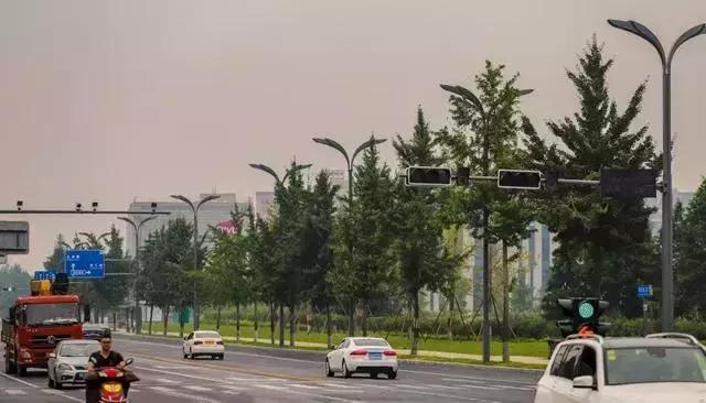 世警会真的来了吗,世警会即将举行完整版