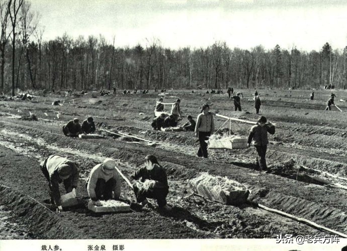 1973年人民画报:毛*东泽**时代工农和体育健儿