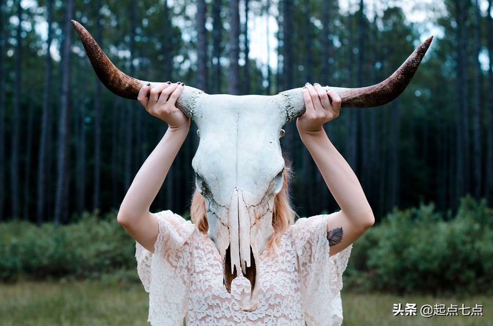 无限可能的能力,无限可能学习