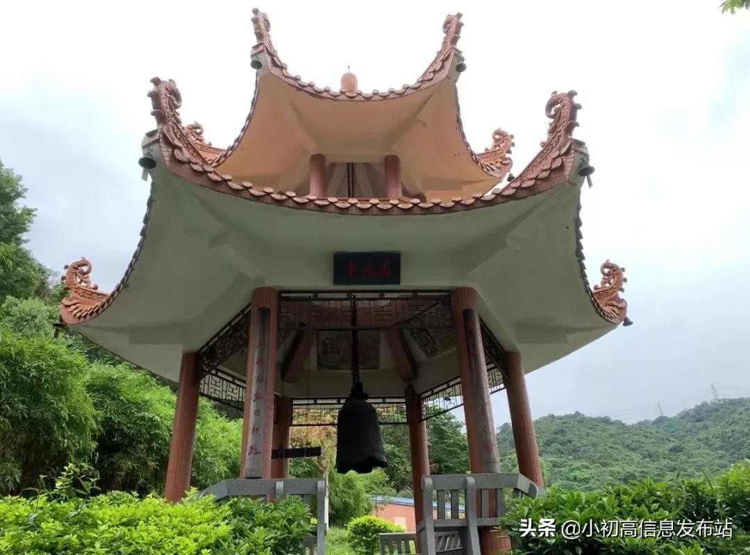 2019广州二中高考成绩,广州二中2022高考平均分