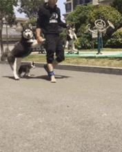 走在“云端上”的拖鞋，震撼脚丫的棉花级触感，一秒解压超柔软