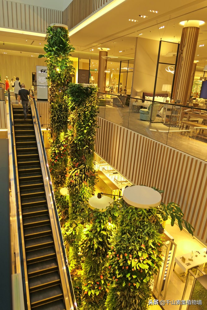 美丽的景观商店效果图,大型仿真植物商业街景观造景装饰