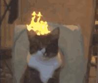 研制新冠疫苗过程视频教程,自制新冠病毒疫苗