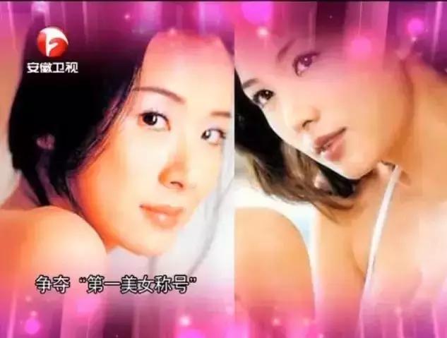 台湾第一美女萧蔷的成名史,台湾第一美女萧蔷现状