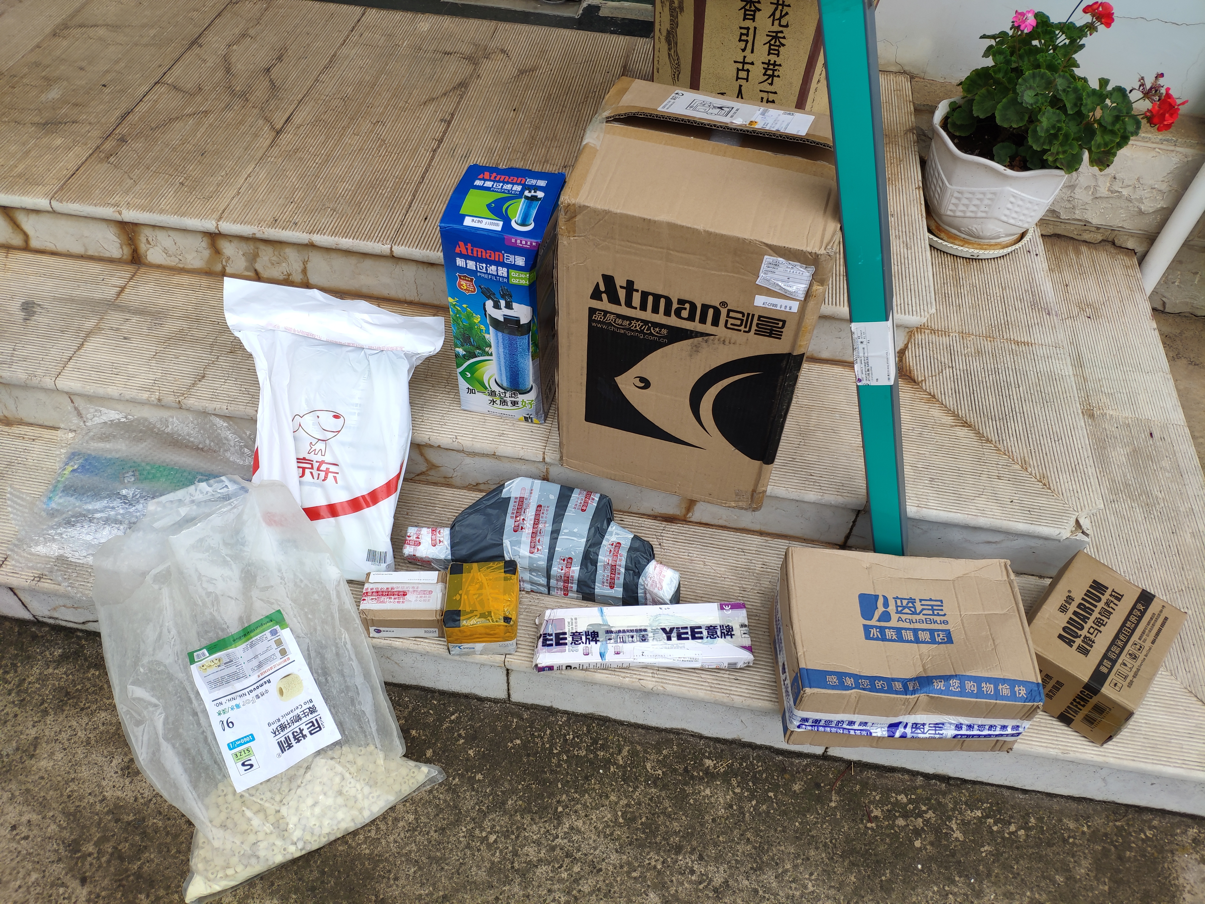 入坑草缸的两个作品,新手草缸用什么过滤最佳