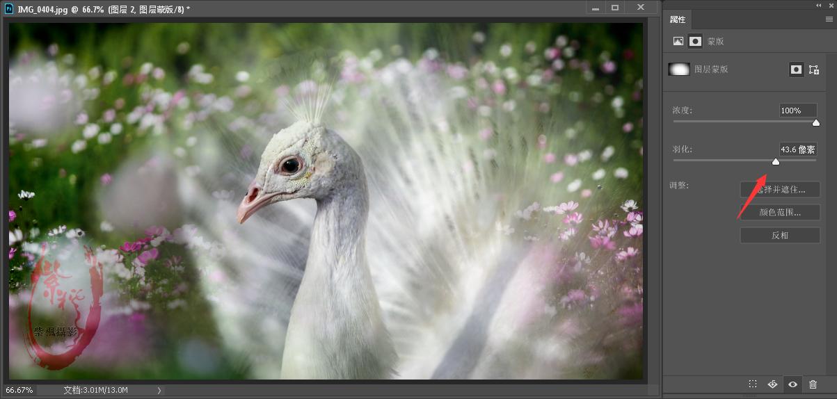 ps零基础抠图蒙版教程,ps蒙版抠图教程详细过程