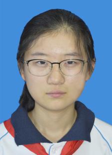 北京优秀少先队员,北京市十佳少先队员证书