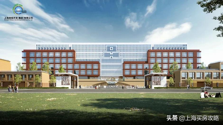 杨超越临港落户,锦鲤杨超越