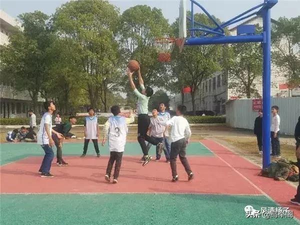 系列散文——李淑孟：我们的学校是花园（之二十）