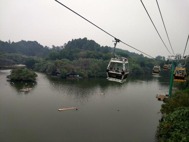 广州长隆野生动物世界二日游,广州长隆野生动物世界步行游览区