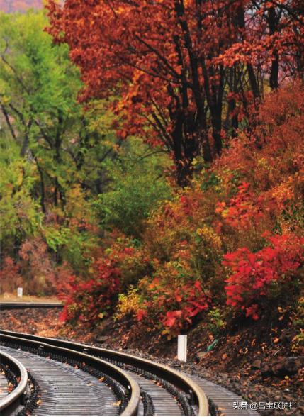 滨绥铁路是电气化铁路吗,滨绥铁路290公里