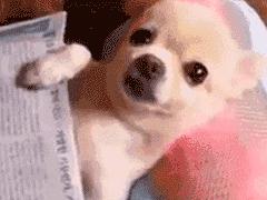 颈椎病不能推拿按摩的类型,按摩不当致瘫痪